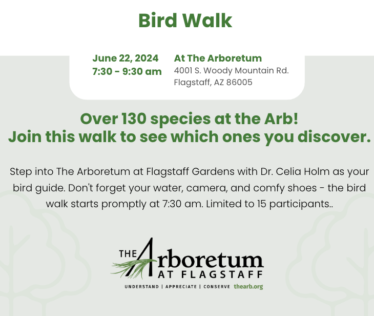 Bird Walk June 22